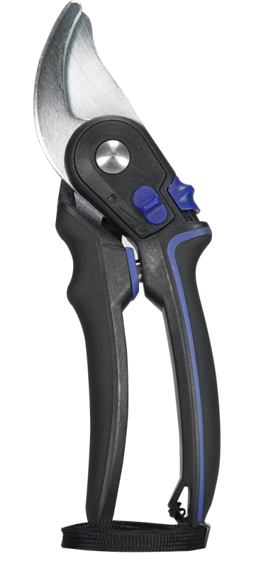 Coral Pruner